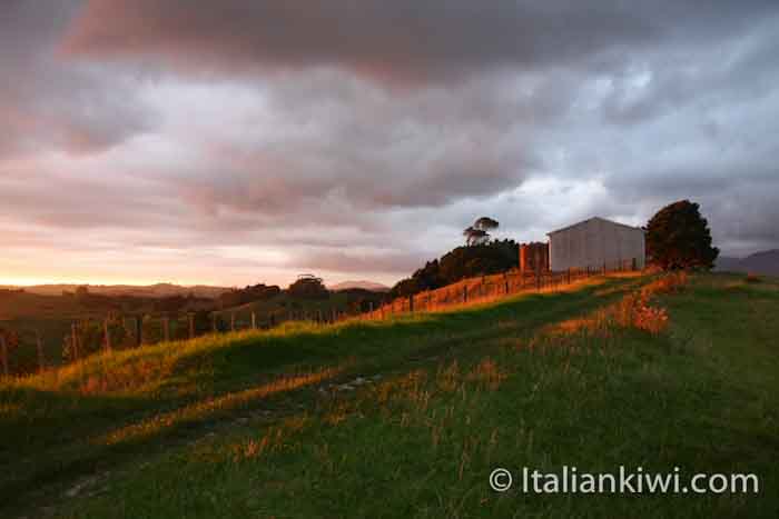 My home. New Zealand sunset