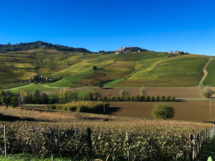 The Langhe, Piedmont, Italy