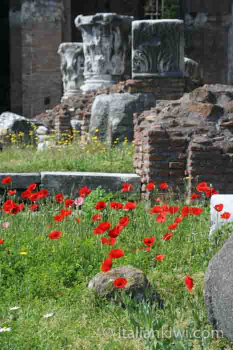 The Forum, Rome, Italy