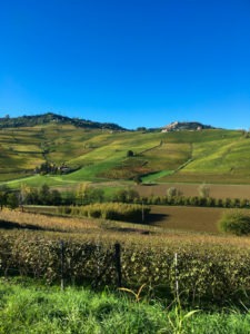 The Langhe, Piedmont, Italy