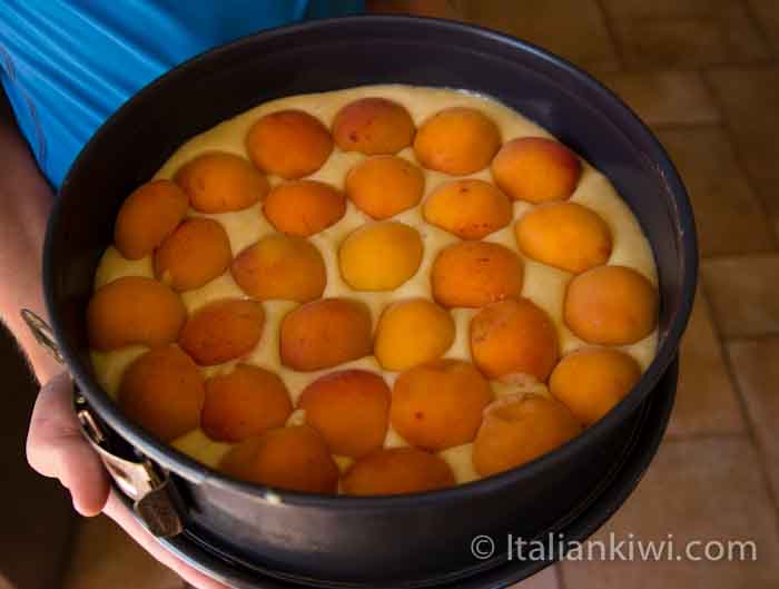 Apricot cake pre-cooking