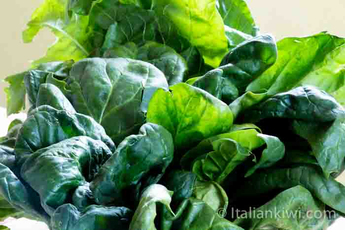 Fresh Spinach