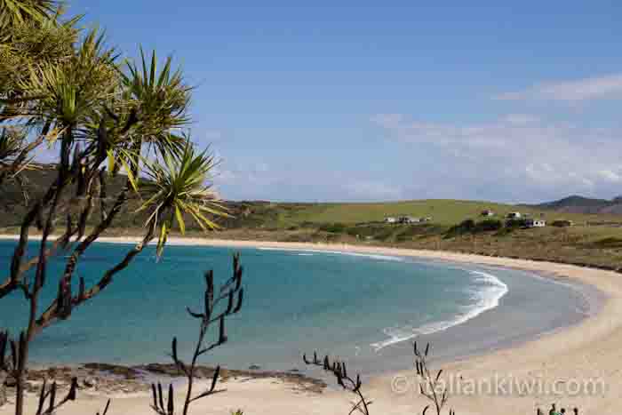 Maitai Bay, Northland, New Zealand