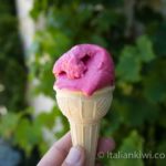 Sorbet with plums and cherries