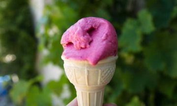 Sorbet with plums and cherries