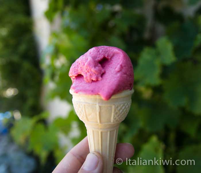 Sorbet with plums and cherries