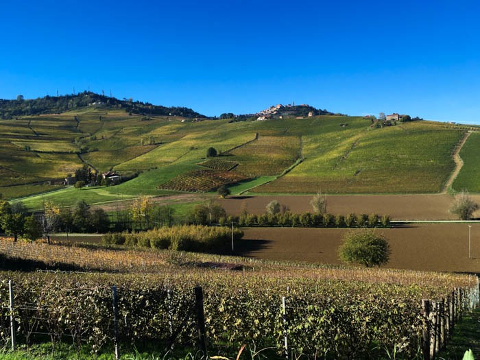 The Langhe, Piedmont, Italy