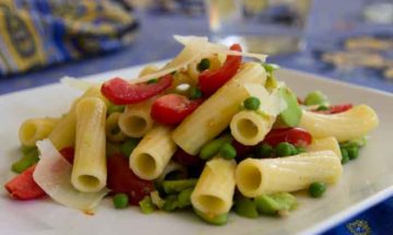 Pasta Salad with Fava Beans , Tomatoes and Parmesan