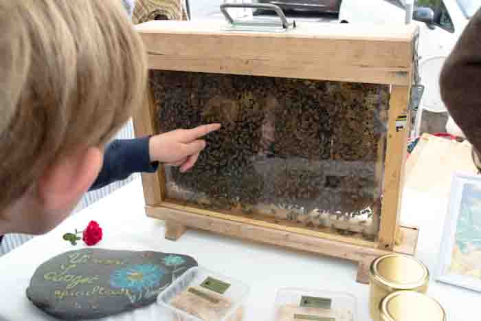 bees at the honey festival