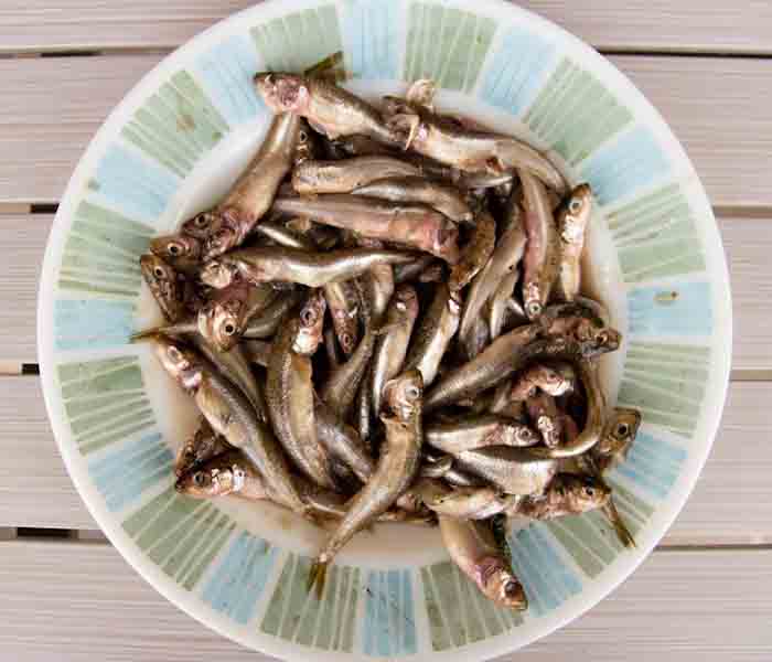 fish before frying