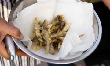 Spanish Tapas: Tiny Battered and Fried Whole Fish