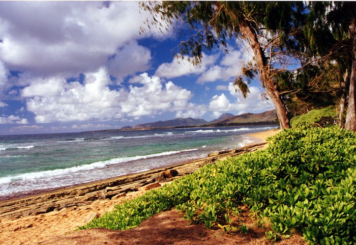 Kauwai Island, Hawaii