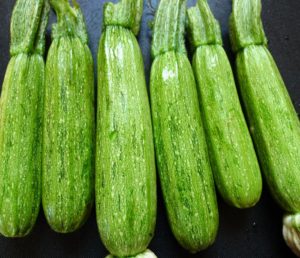 Italian zucchini