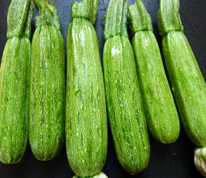 Courgette (zucchini)