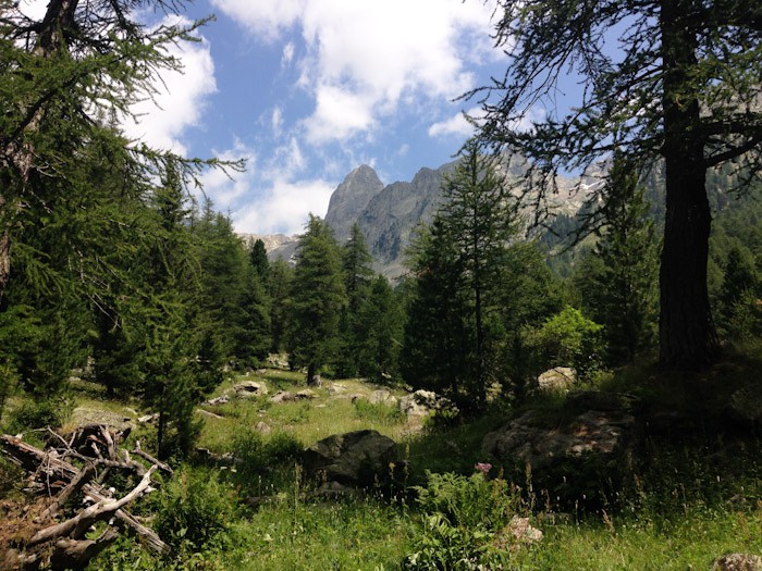 Mercantour Park, France