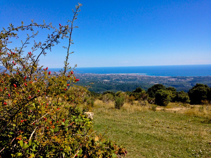 Lower on the Pic de Courmettes, France