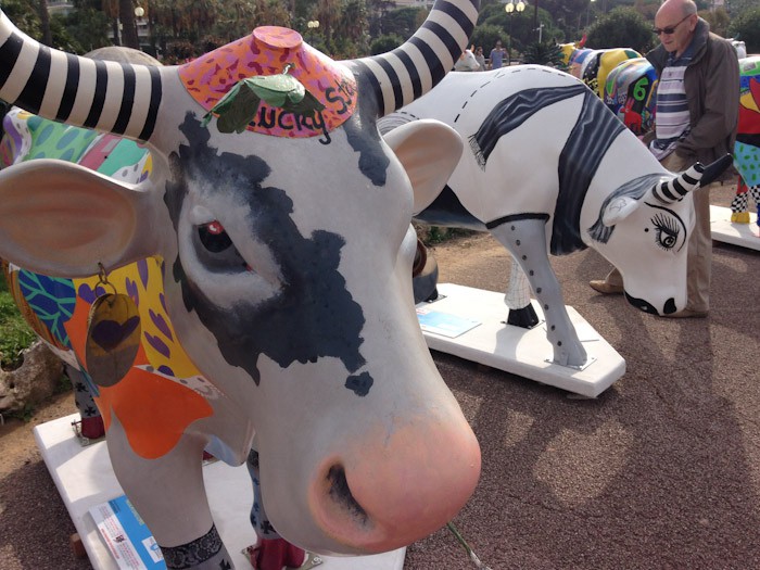 Painted Cows in Cannes, France