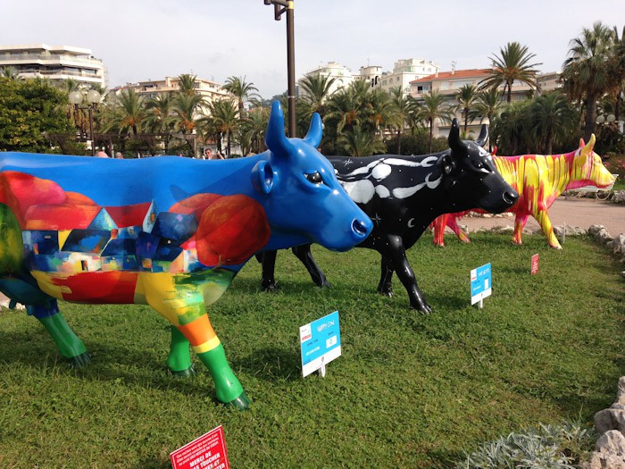 cows in Cannes, France