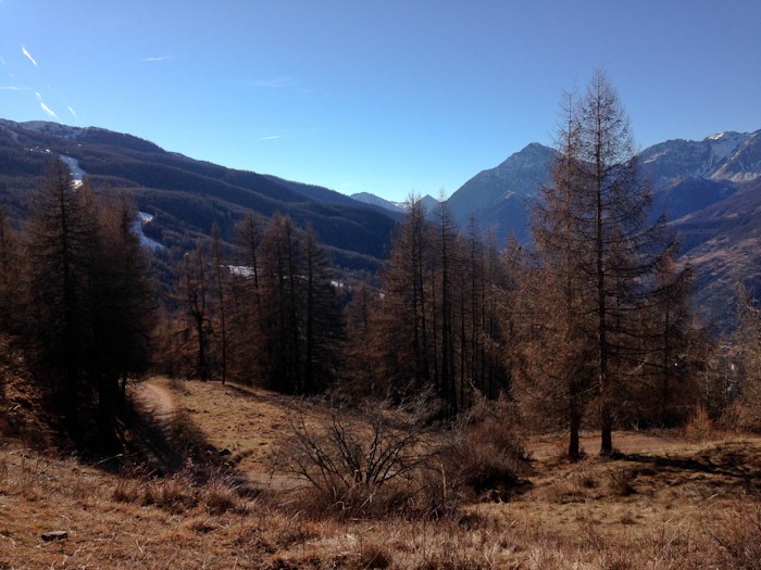 Sauze d'Oulx, Piemont, Susa Valley, Italy