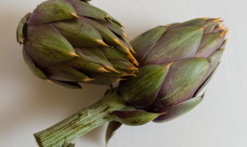 spiny artichokes