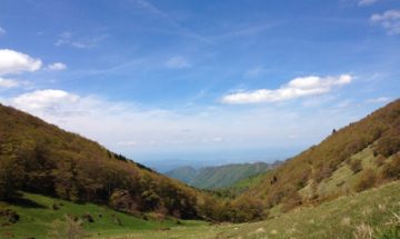 Saoù forest, The Drôme, France