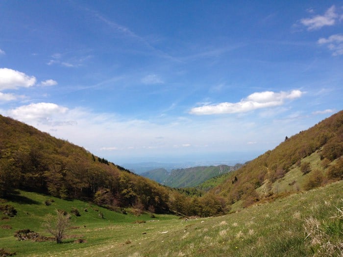 Saoù forest, The Drôme, France