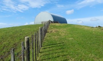 New Zealand Life: The Farm