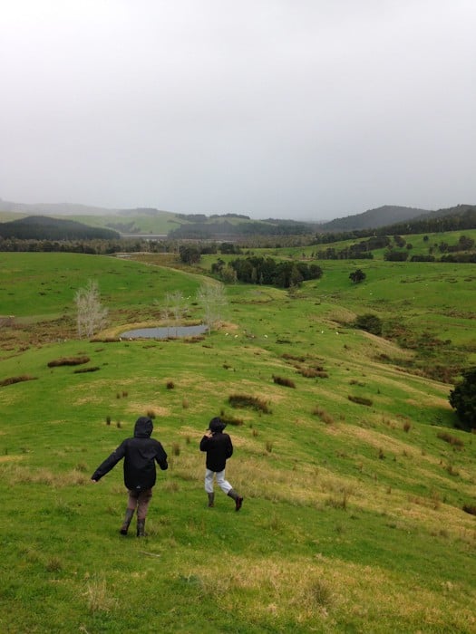 Running down the hill. New Zealand