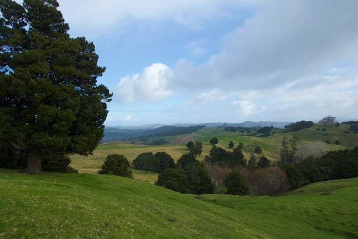 View of The Farm, New Zealand