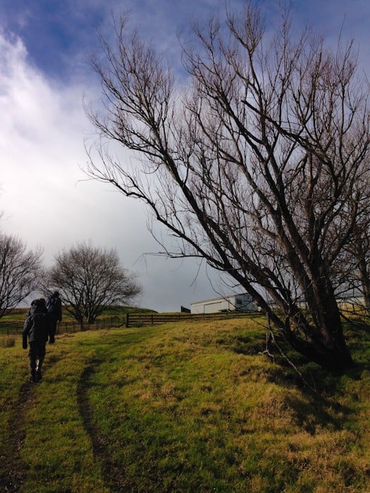 The Woolshed, new Zealand