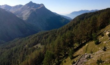 Col de la Cayolle, Haute-Alpes, France