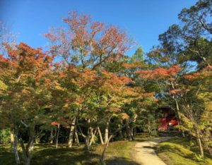 Zen garden, Nara, Japan