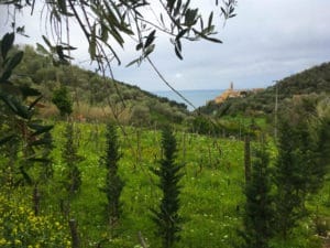 Cervo, Liguria, Italy