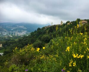 Bussana Vecchia hidden in the hills