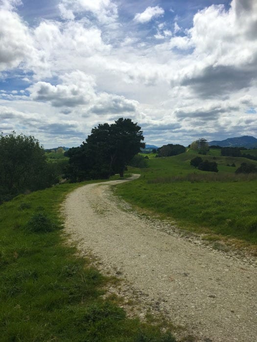 NZ farm airstrip