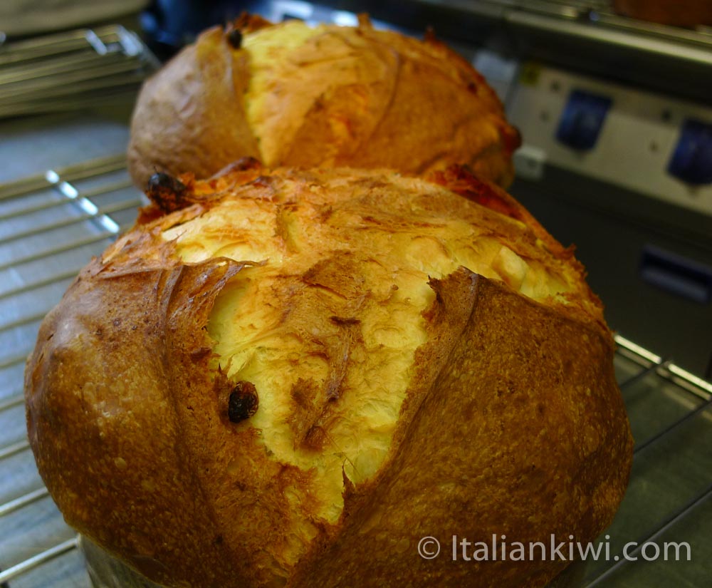 Panettone